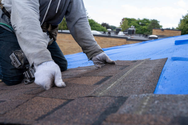 Best Green or Eco-Friendly Roofing Solutions  in Grandville, MI