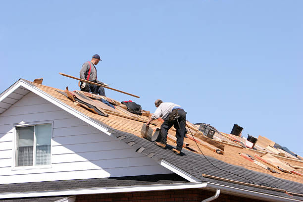 Best Steel Roofing  in Grandville, MI